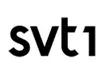 asset 36