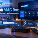 IPTV på MAG Box: portal, installation och vanliga problem